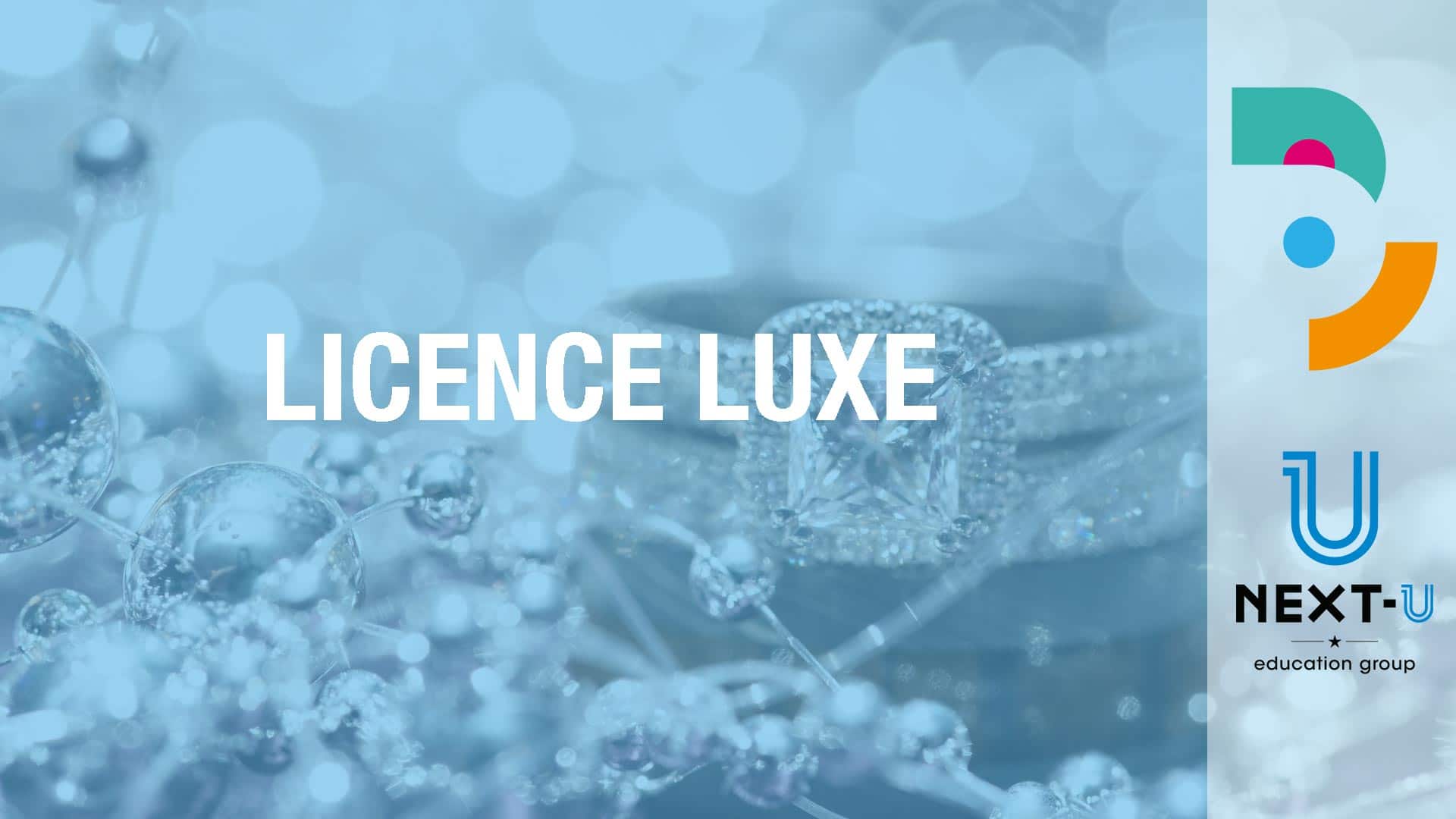 Découvrez le contenu de notre licence luxe